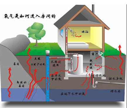 氡效果图